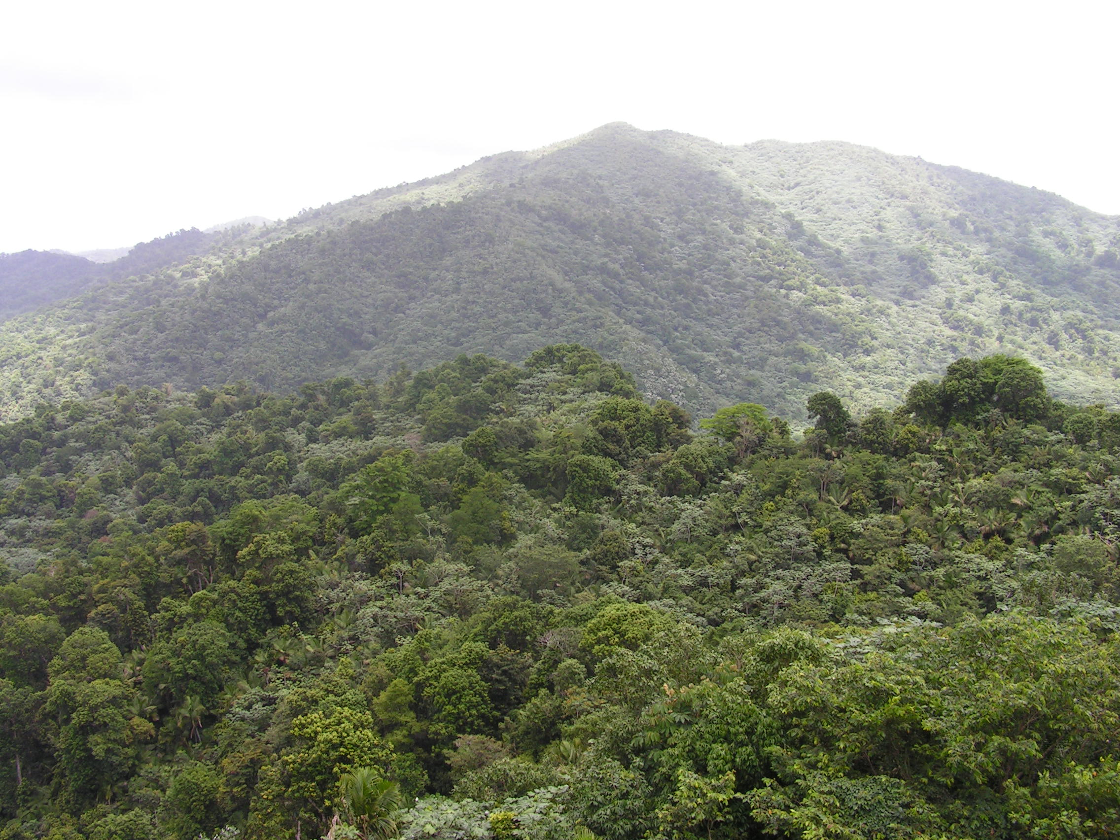 ./2005/Puerto Rico/Part 1/PICT0066.JPG